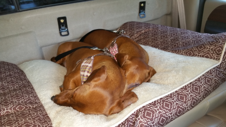 gallery/17claylake21