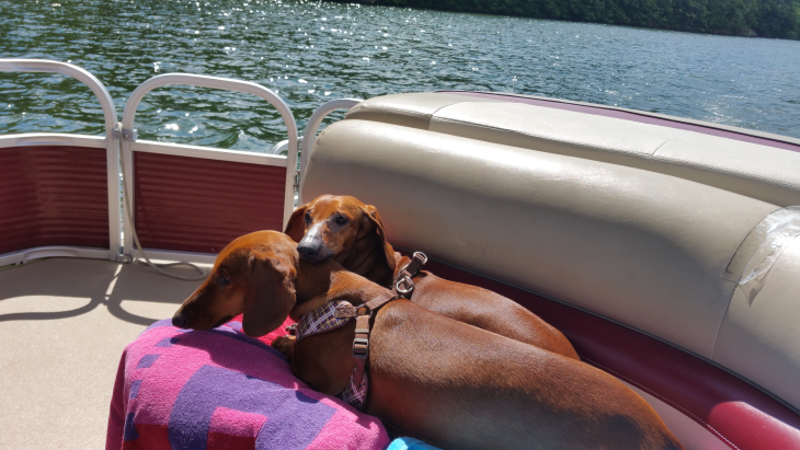 gallery/17claylake18