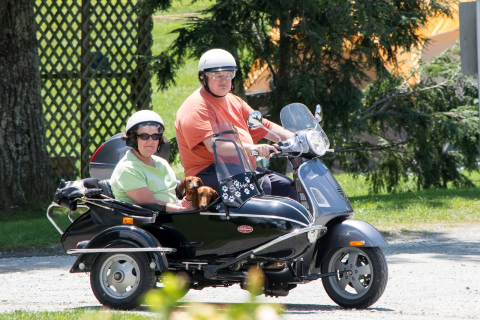 gallery/contacthoundspic