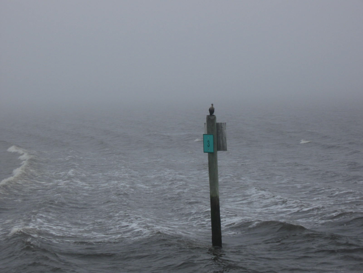 gallery/16cb09ferry7