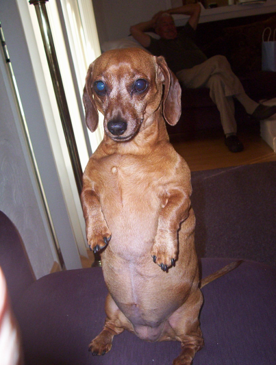 gallery/standing sophs