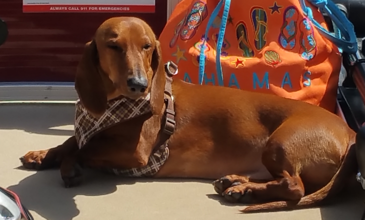 gallery/17claylake8a