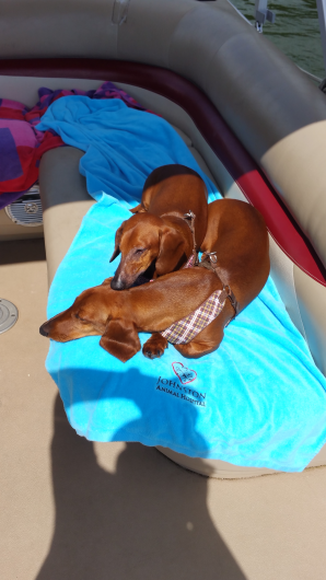 gallery/17claylake19